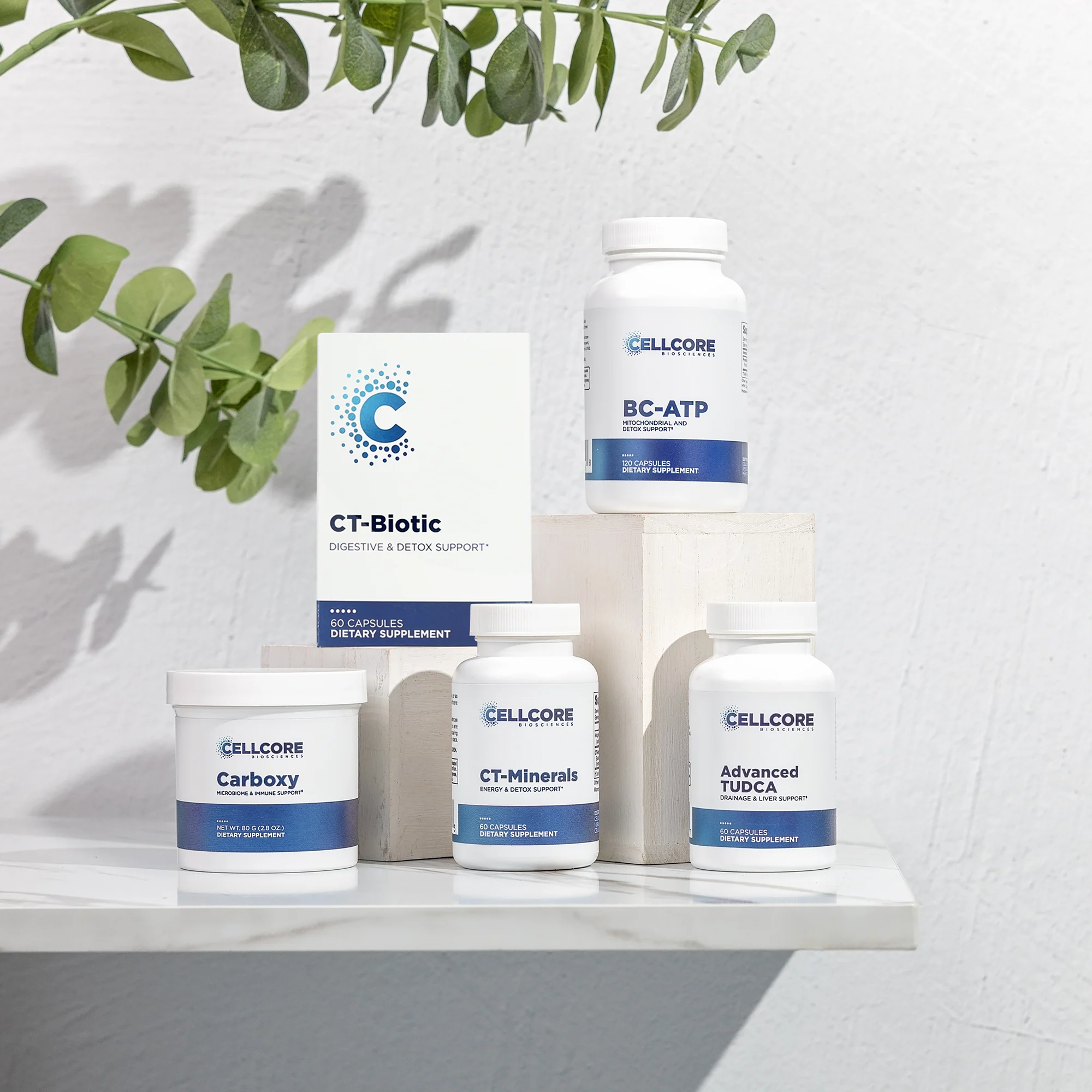 Advanced MYC Support Kit - Image 8