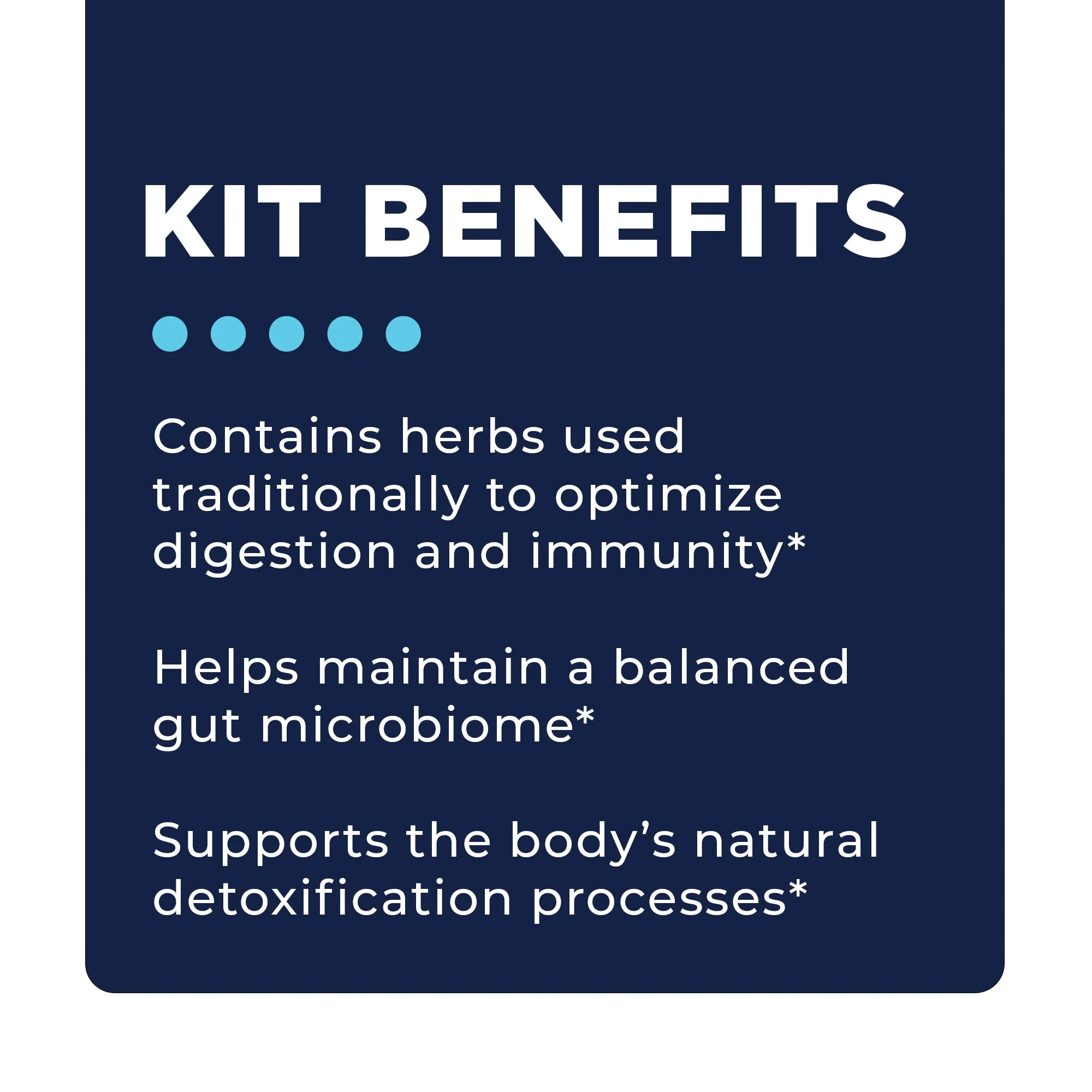 C.A. Support Bundle - Image 7