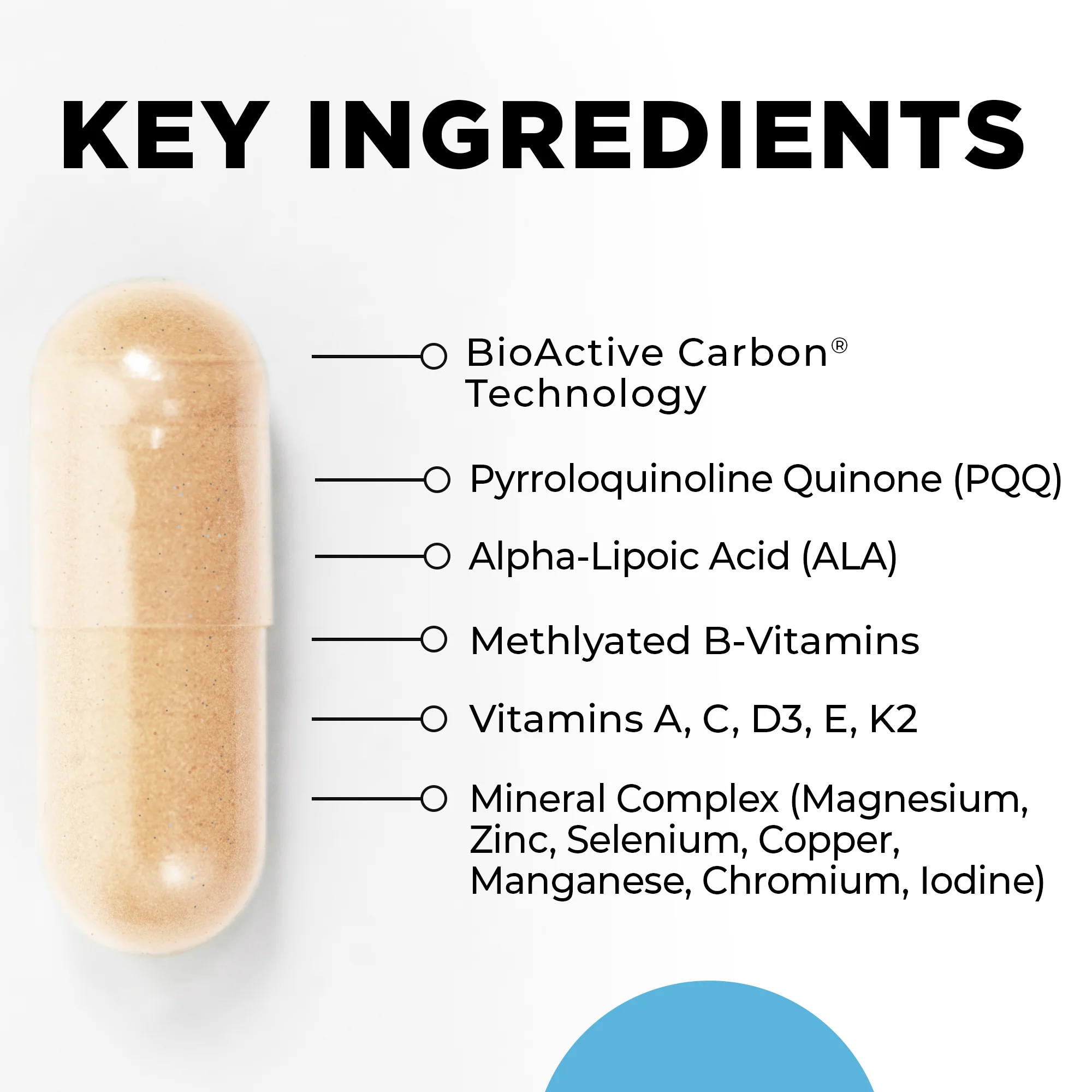 Core Nutrients 120 ct - Image 2
