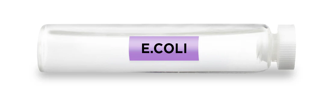 E.COLI -Vial