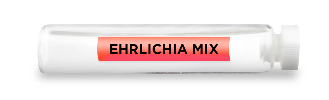 EHRLICHIA MIX -Vial