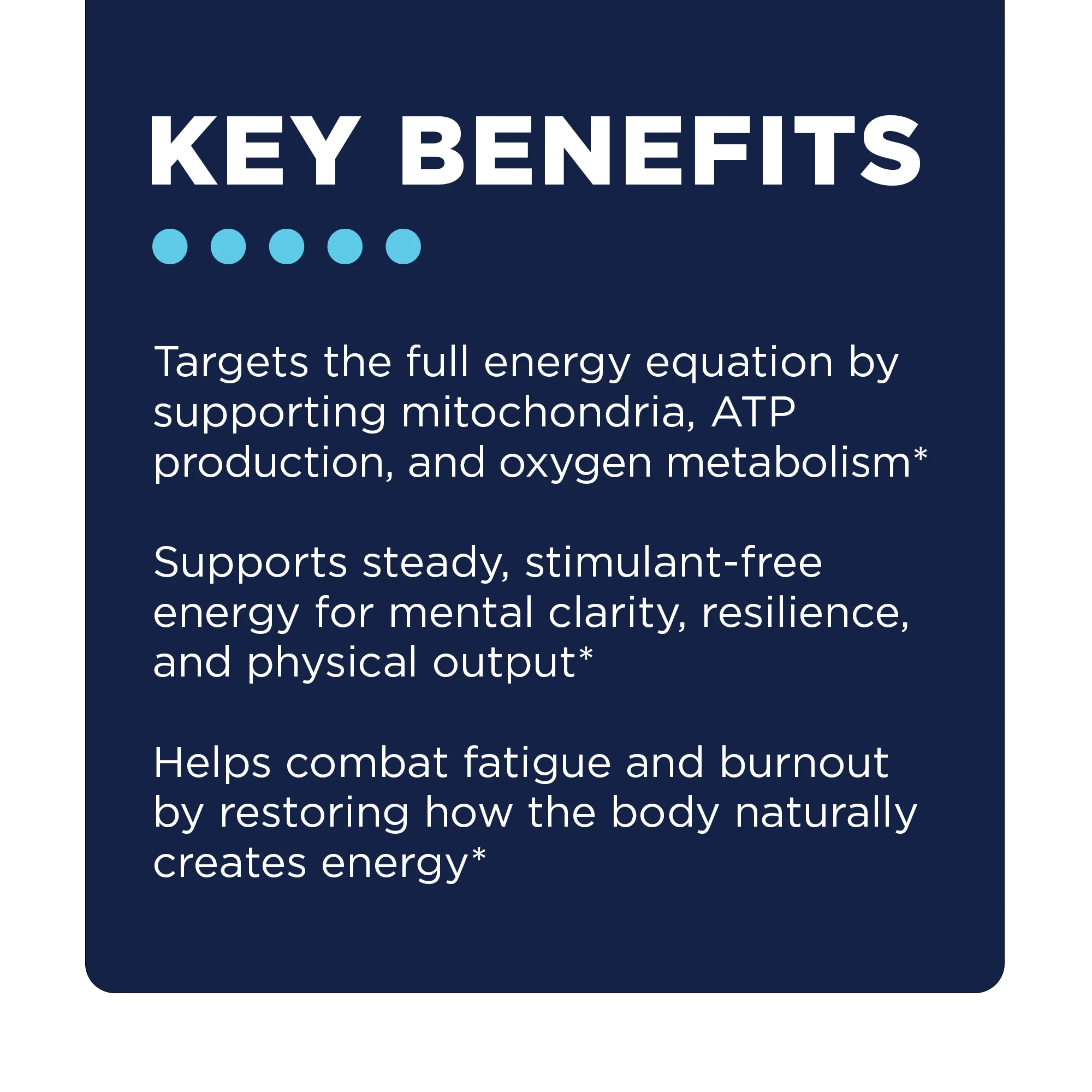 Energy3 Bundle - Image 5