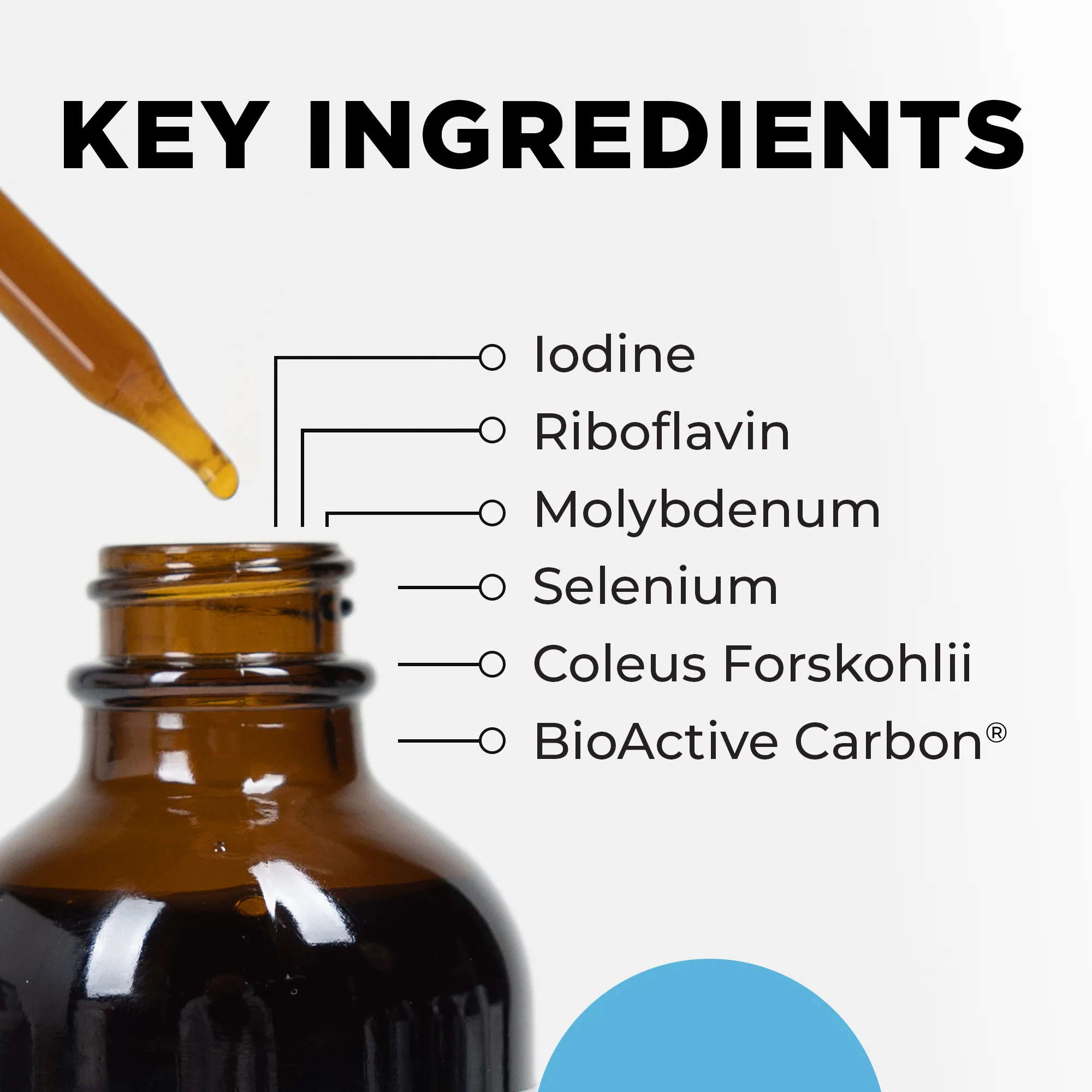 Metabolic Activator - Image 2