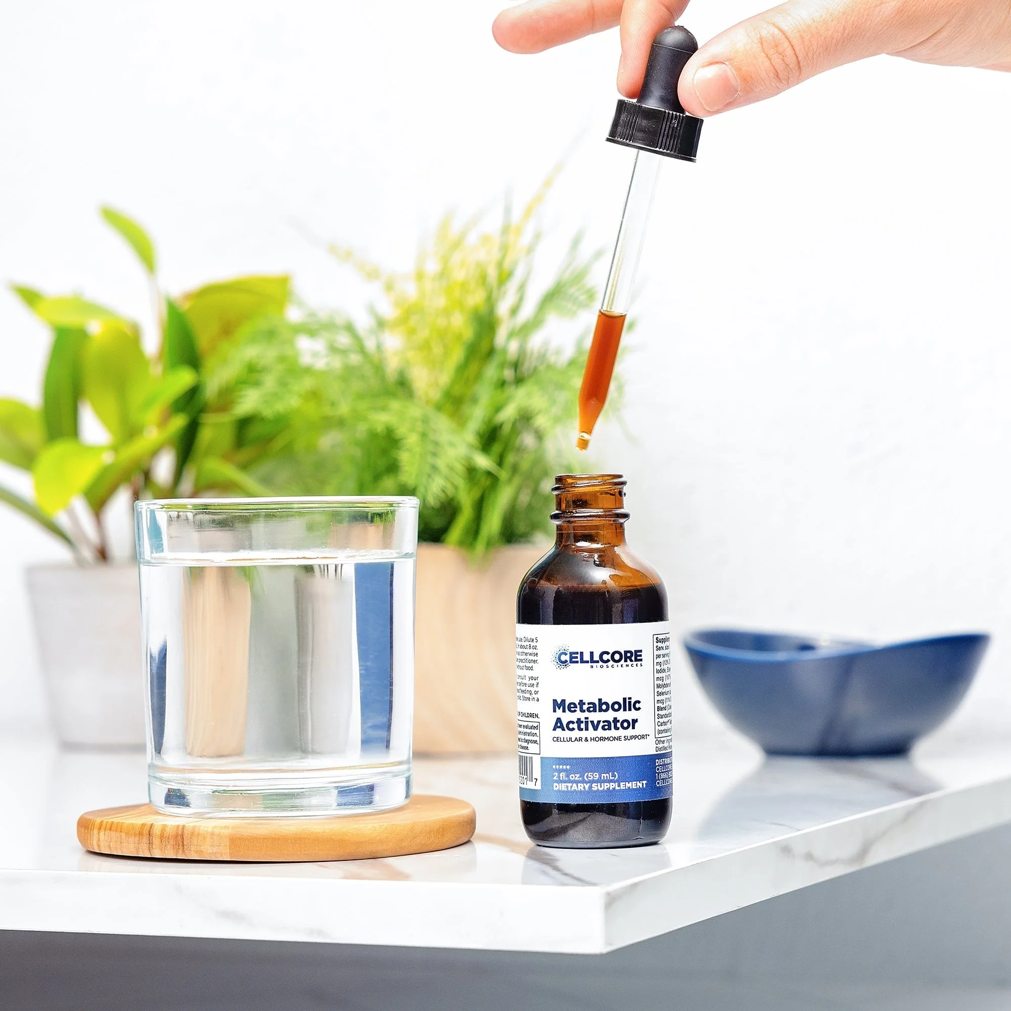 Metabolic Activator - Image 6