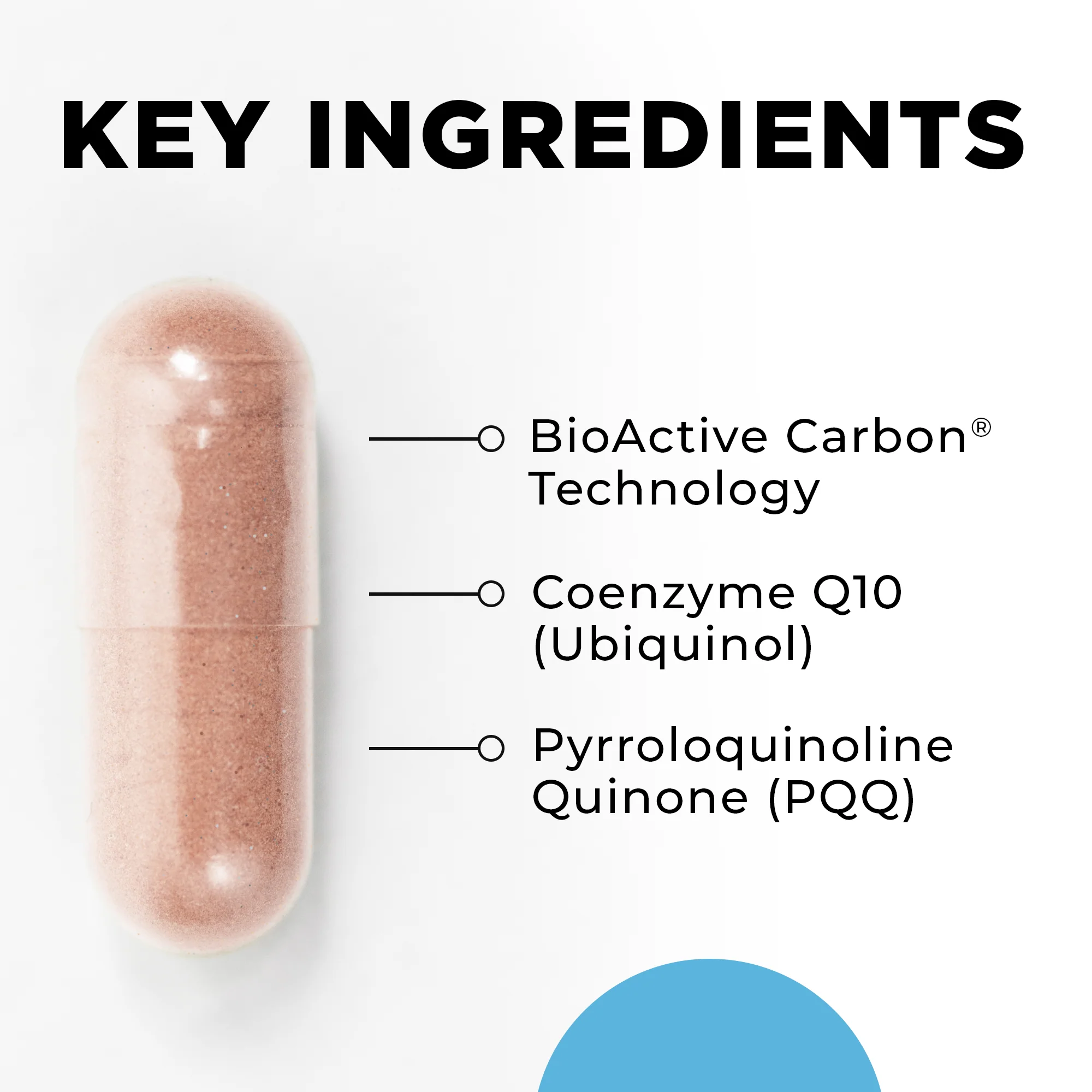 MitoActive™ - Image 2