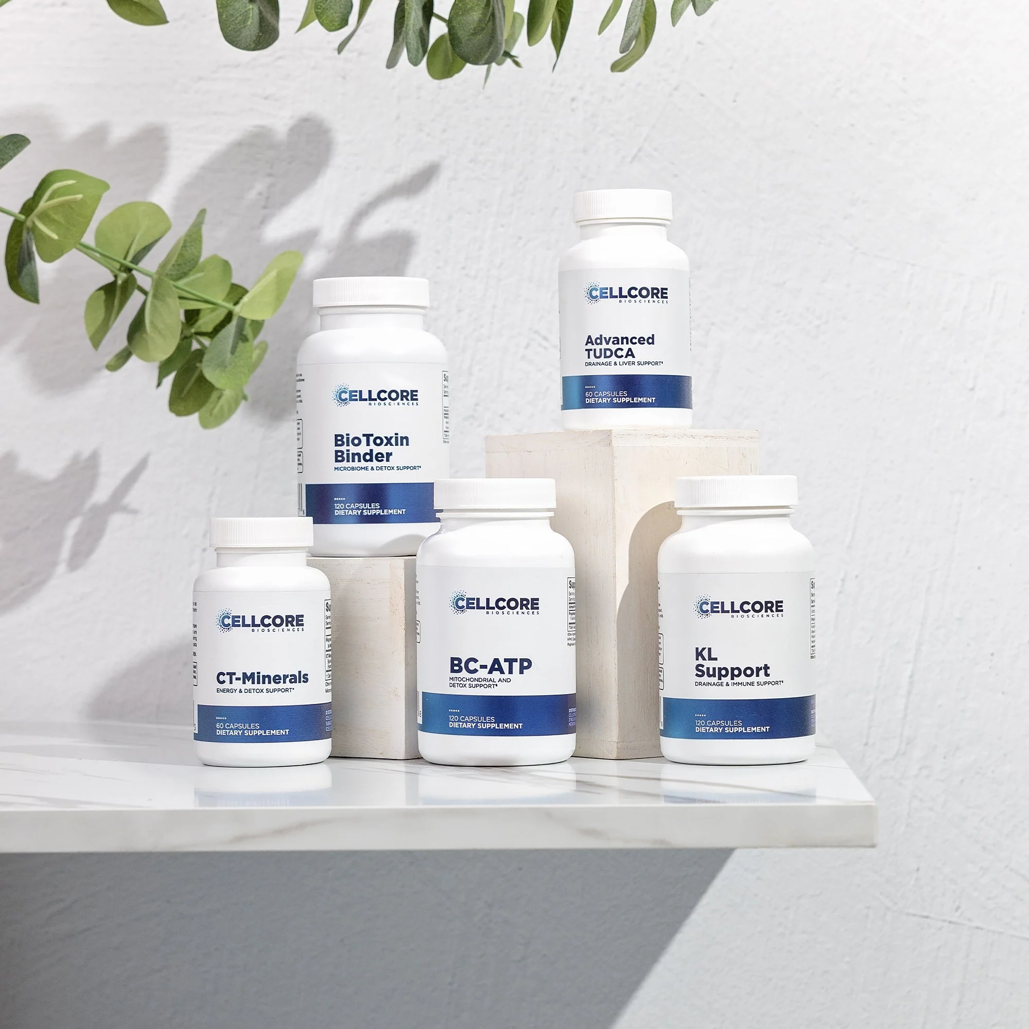 MYC Support Kit - Image 8