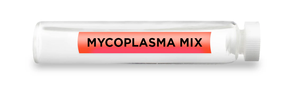 MYCOPLASMA MIX -Vial