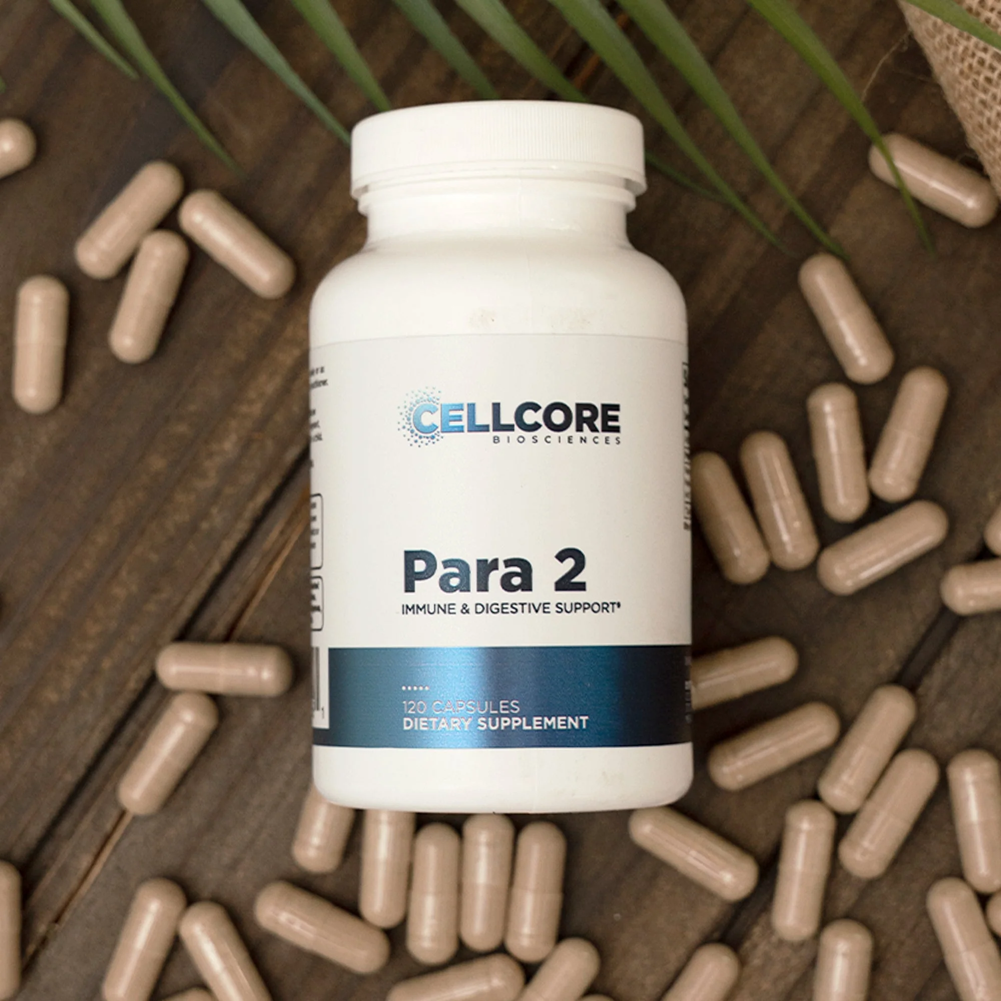 Para 2 † - Image 6