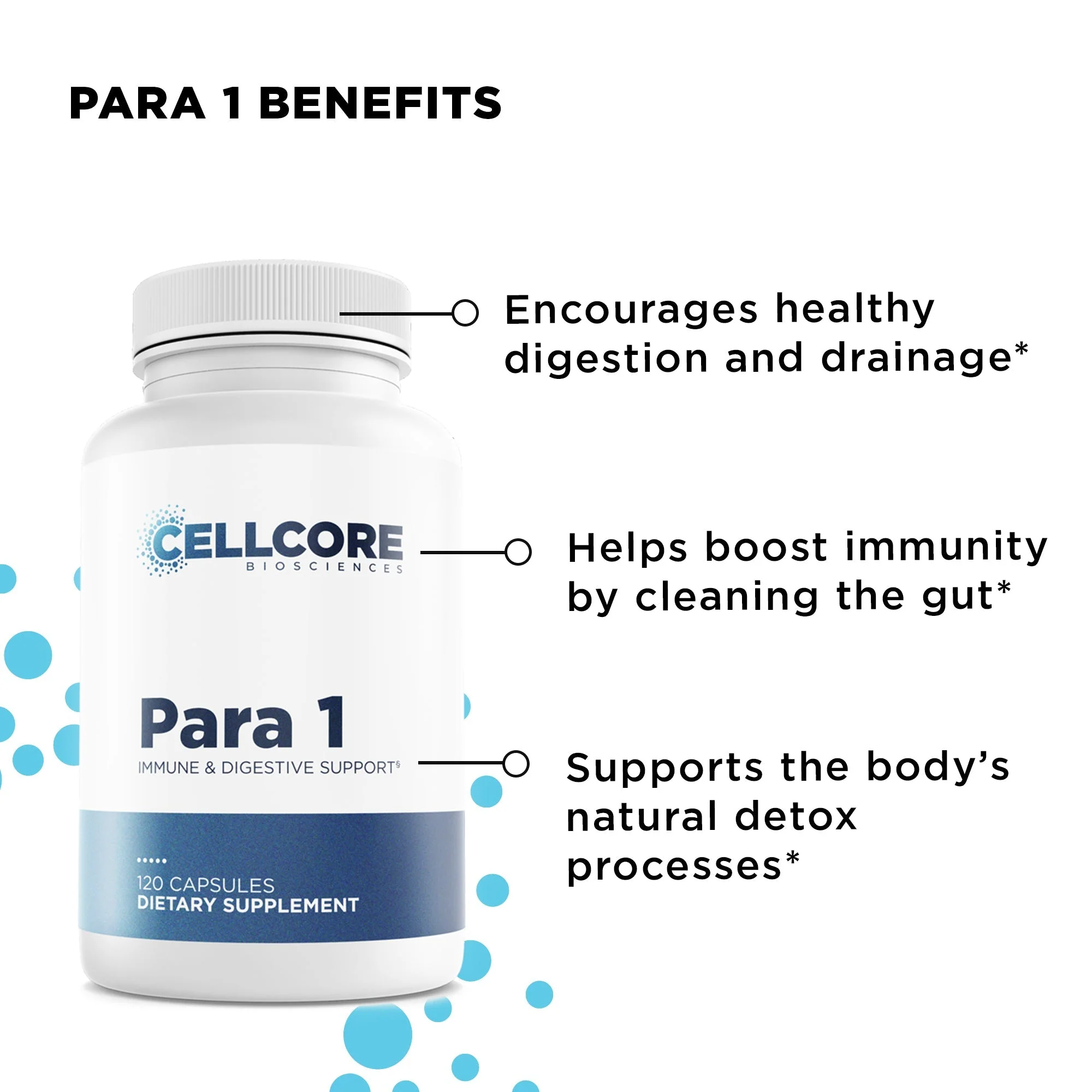 Para Kit - Image 2
