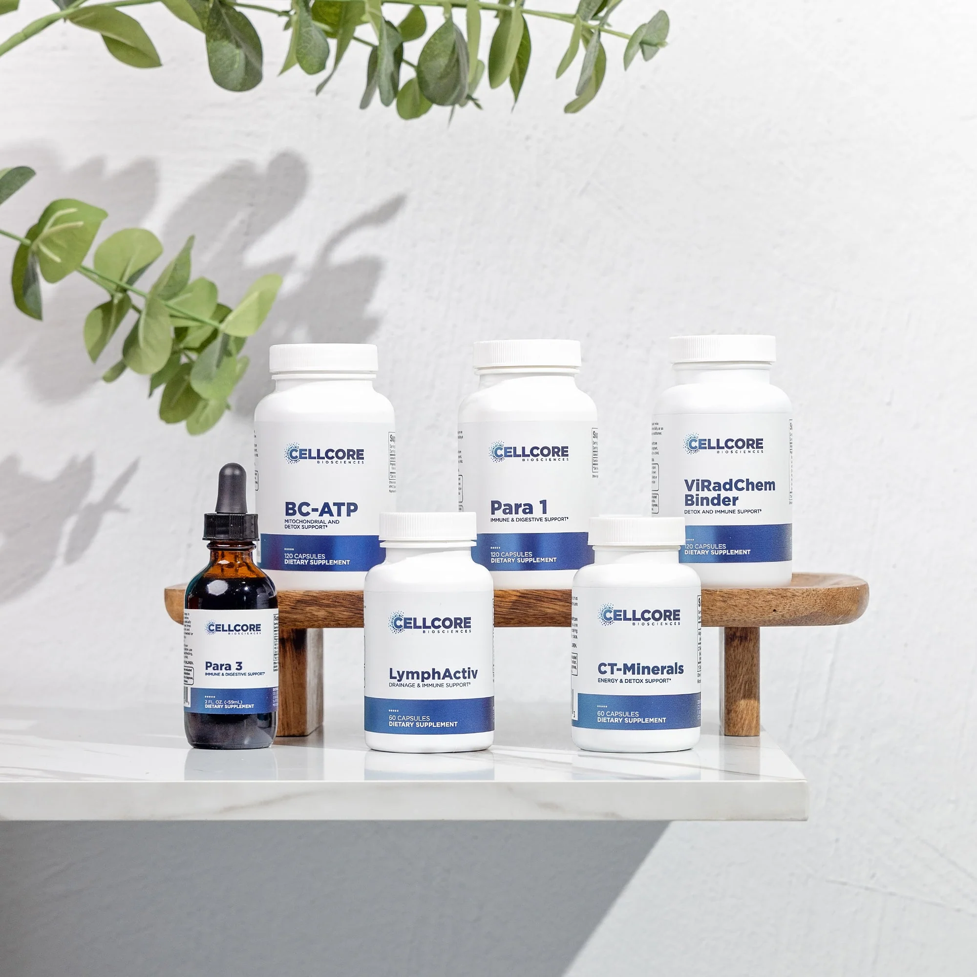 Phase 3: Whole Body Immune Support - Image 9