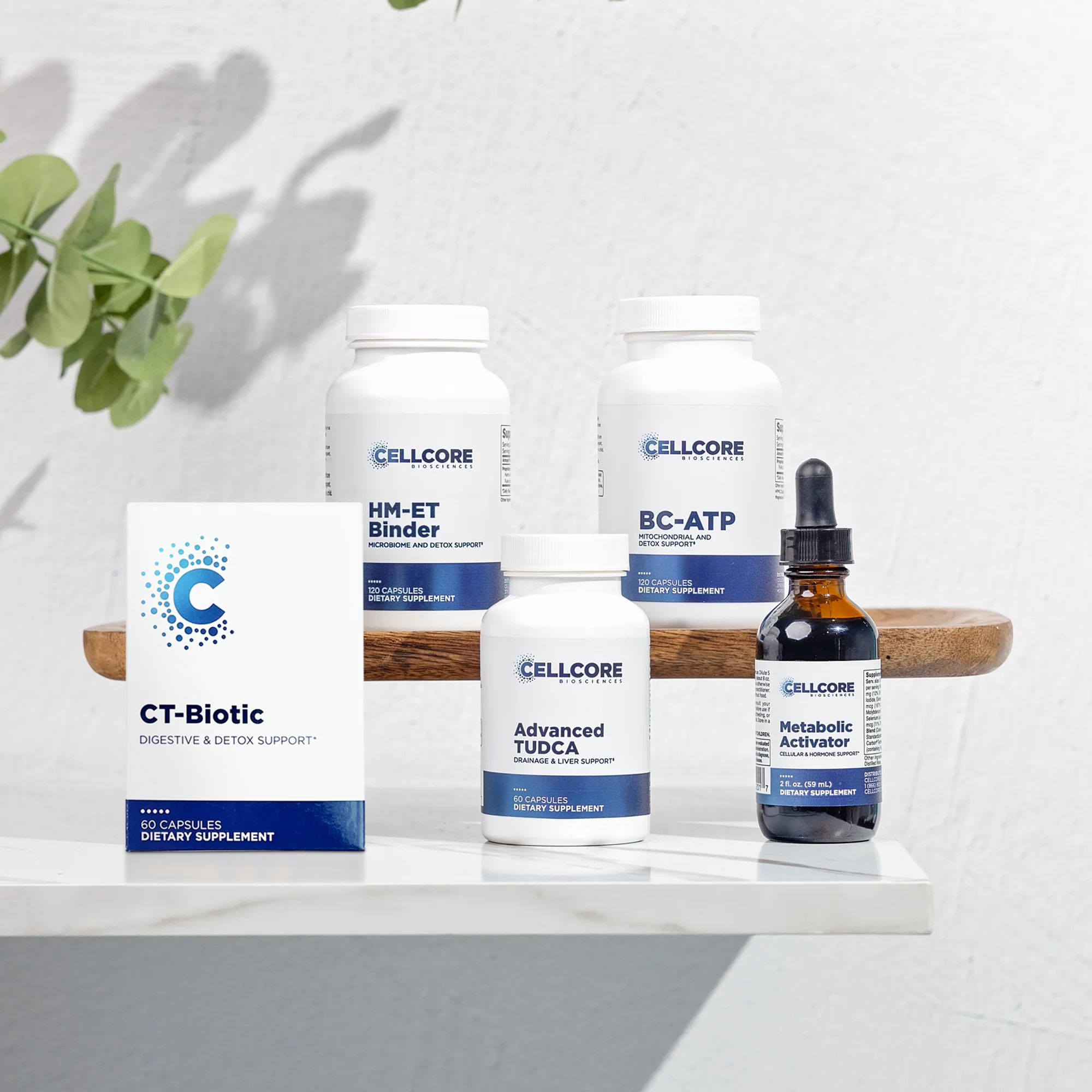 Phase 4B: Systemic Detox - Image 8