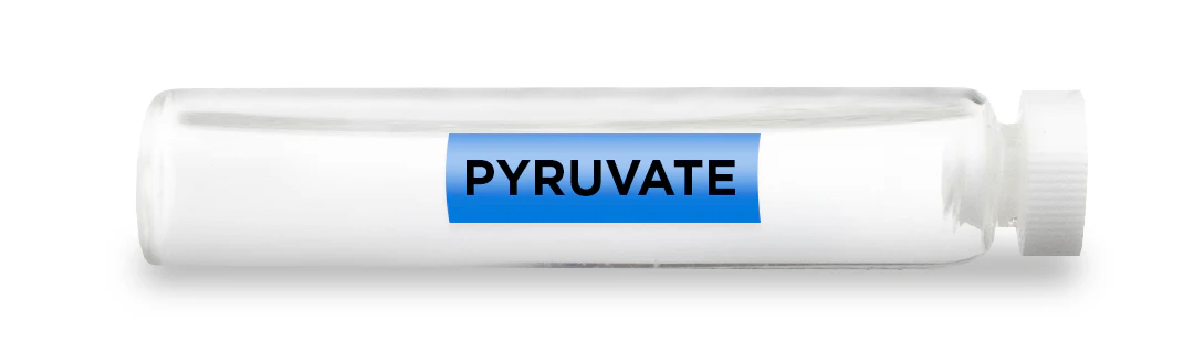PYRUVATE -Vial