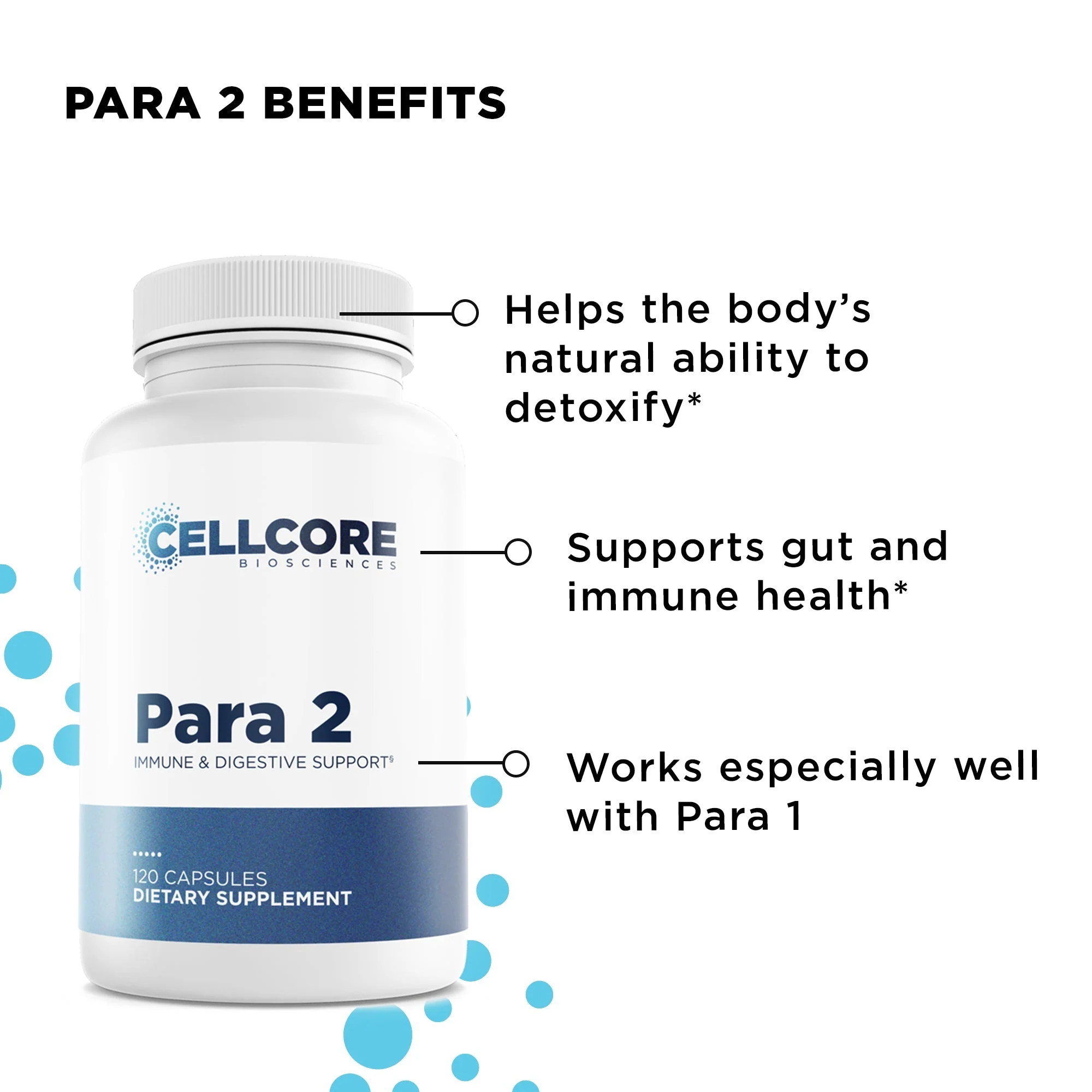 Step 2: Gut & Immune Support - Image 4