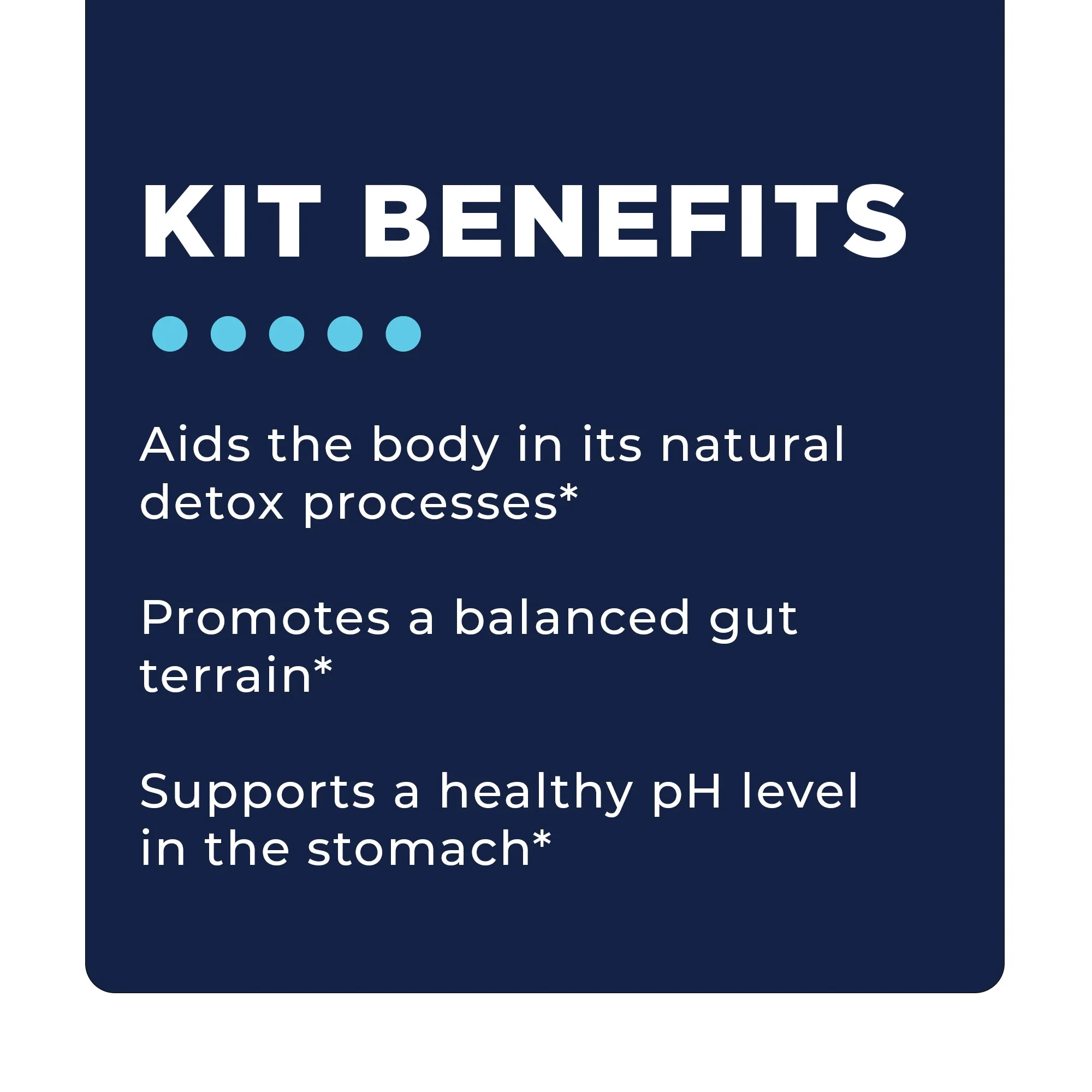 Stomach Support Bundle - Image 6
