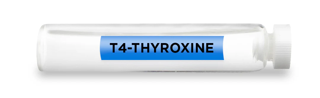 T4-THYROXINE -Vial